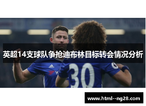 英超14支球队争抢迪布林目标转会情况分析